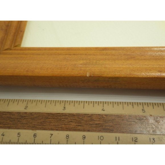 Colorado Landscape Trees Framed Photo Print Buffalo Pass Steamboat Springs - Picture 8 of 8